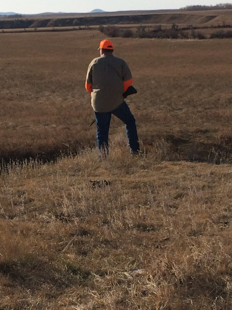 Hunting at RoosterVille