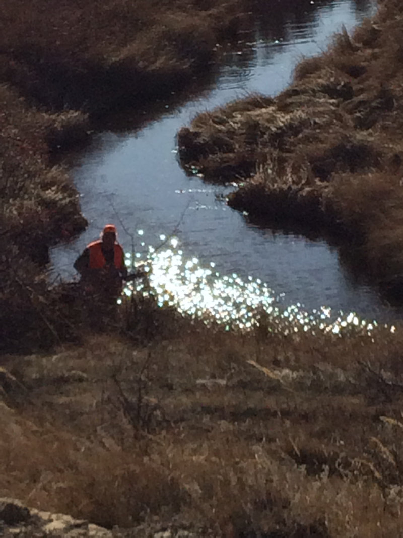 Another great day at RoosterVille